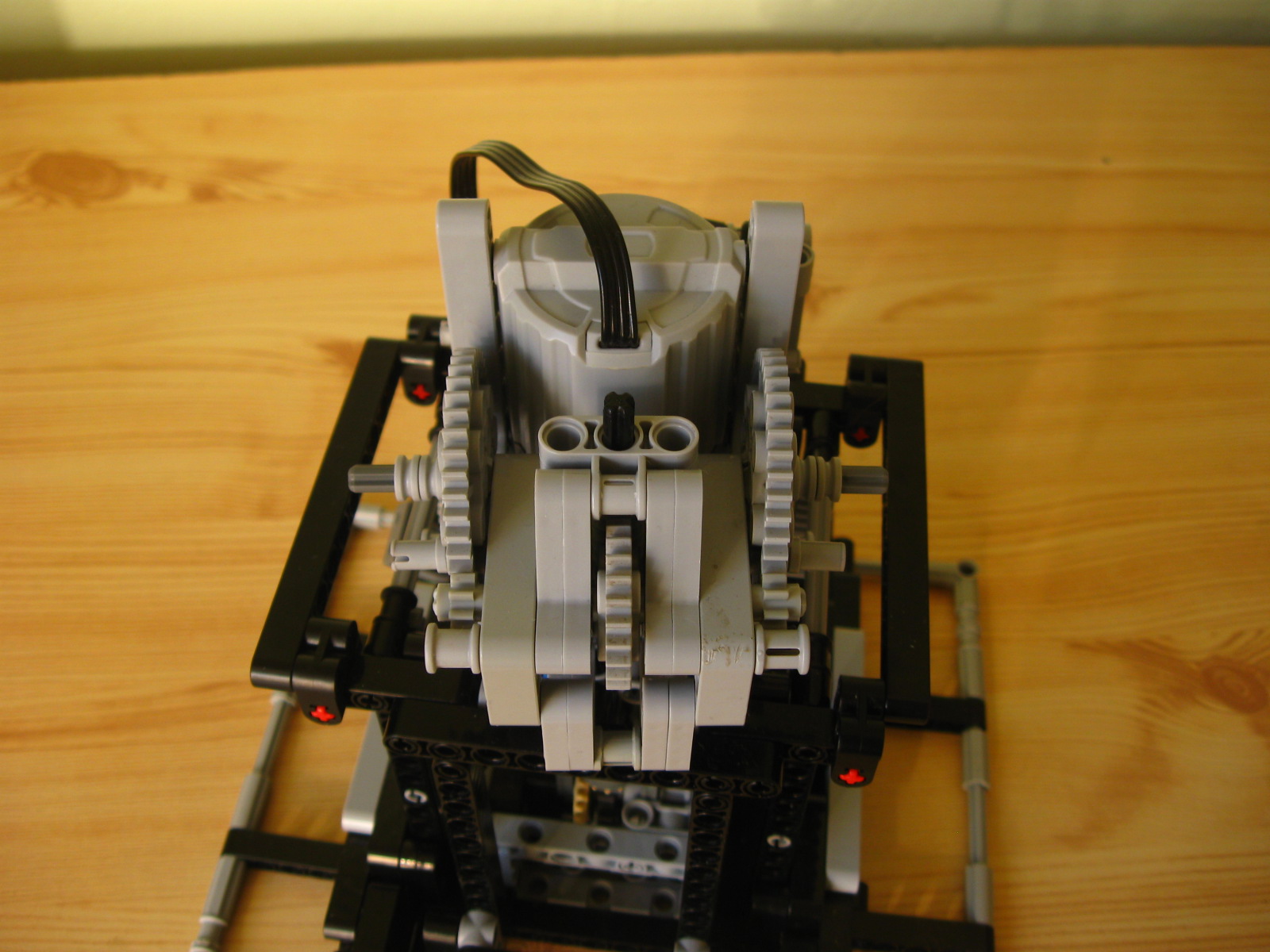 pelican075.jpg
