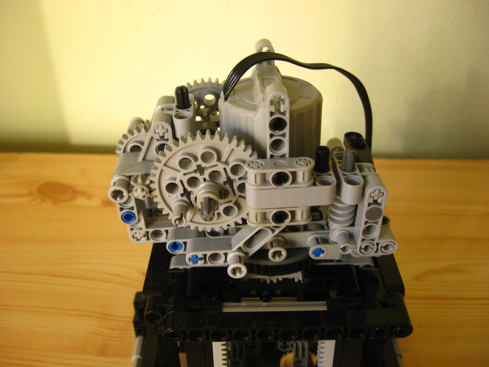 pelican078.jpg