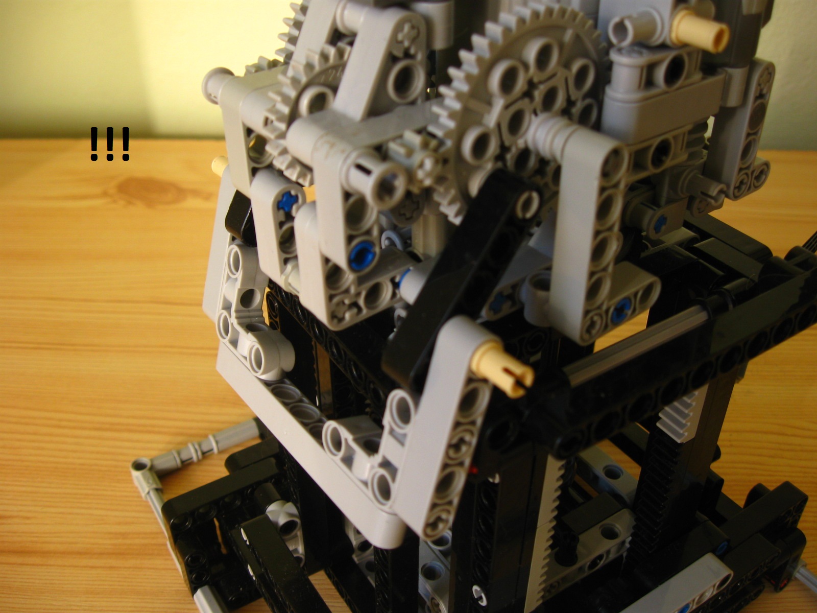 pelican084.jpg