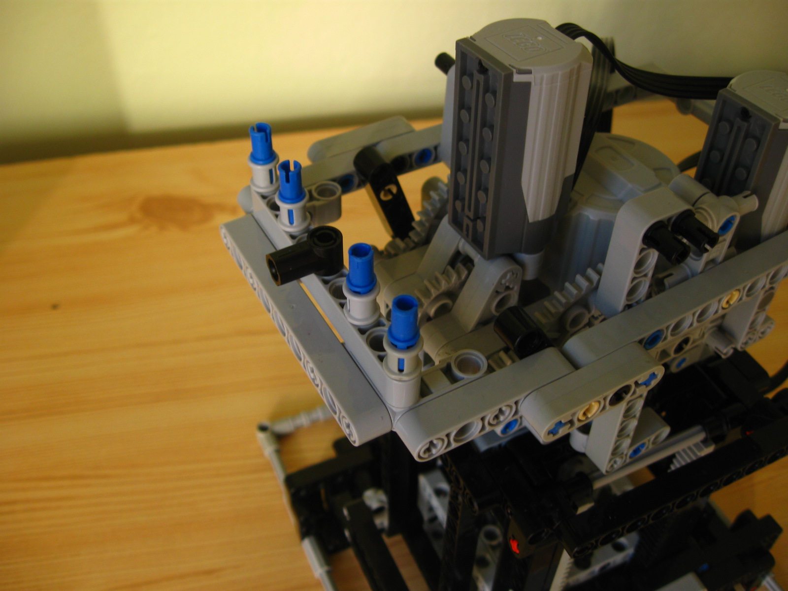 pelican088.jpg