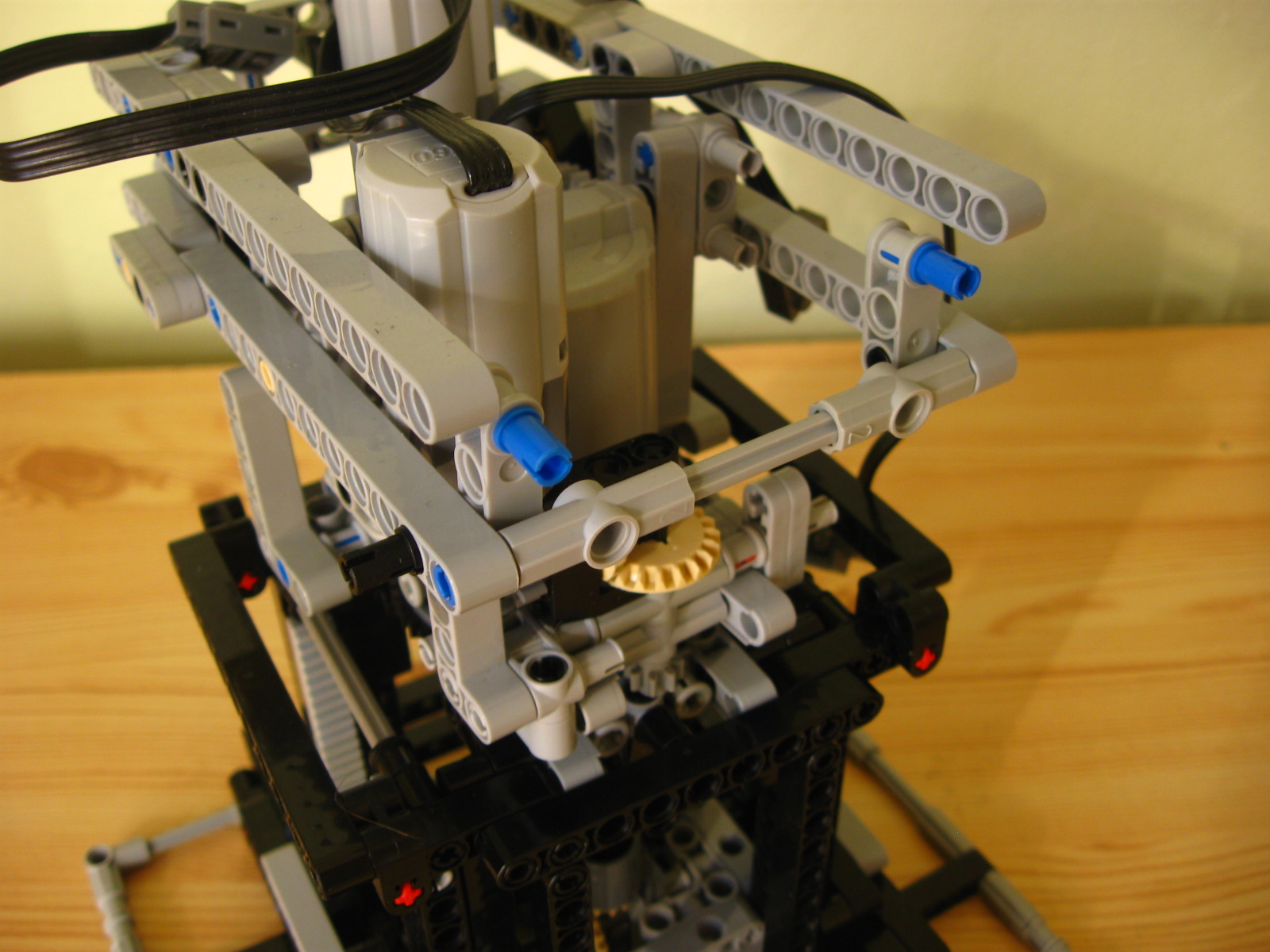pelican094.jpg