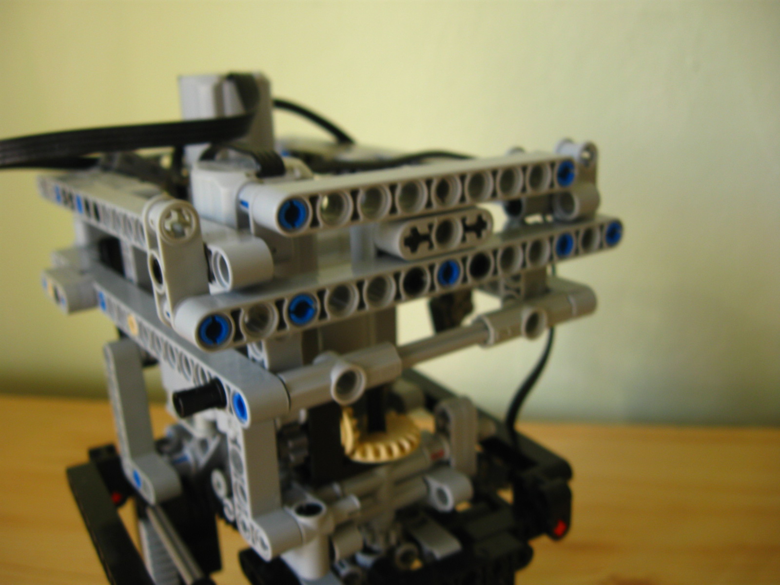 pelican098.jpg