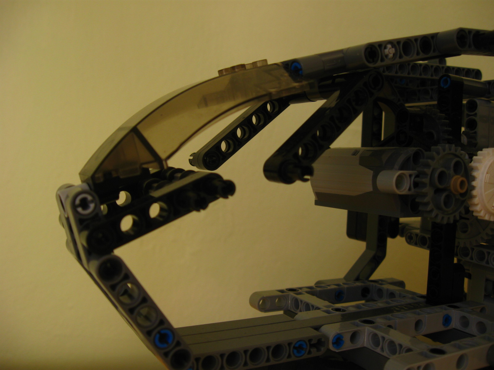 pelican142.jpg