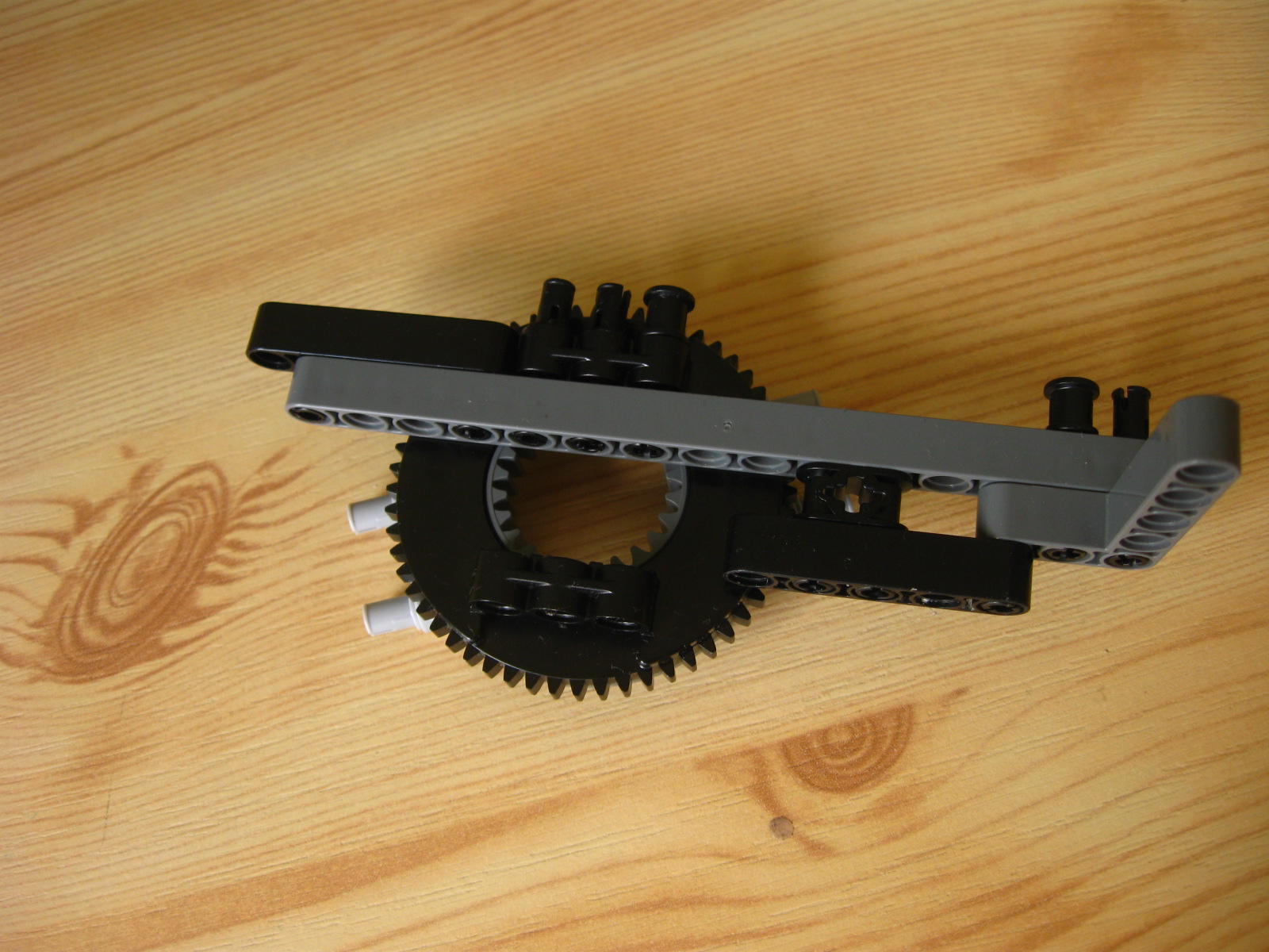 pelican159.jpg