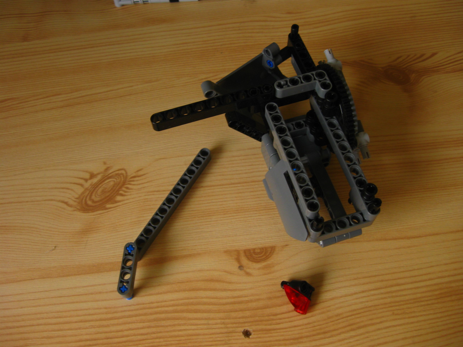 pelican169.jpg