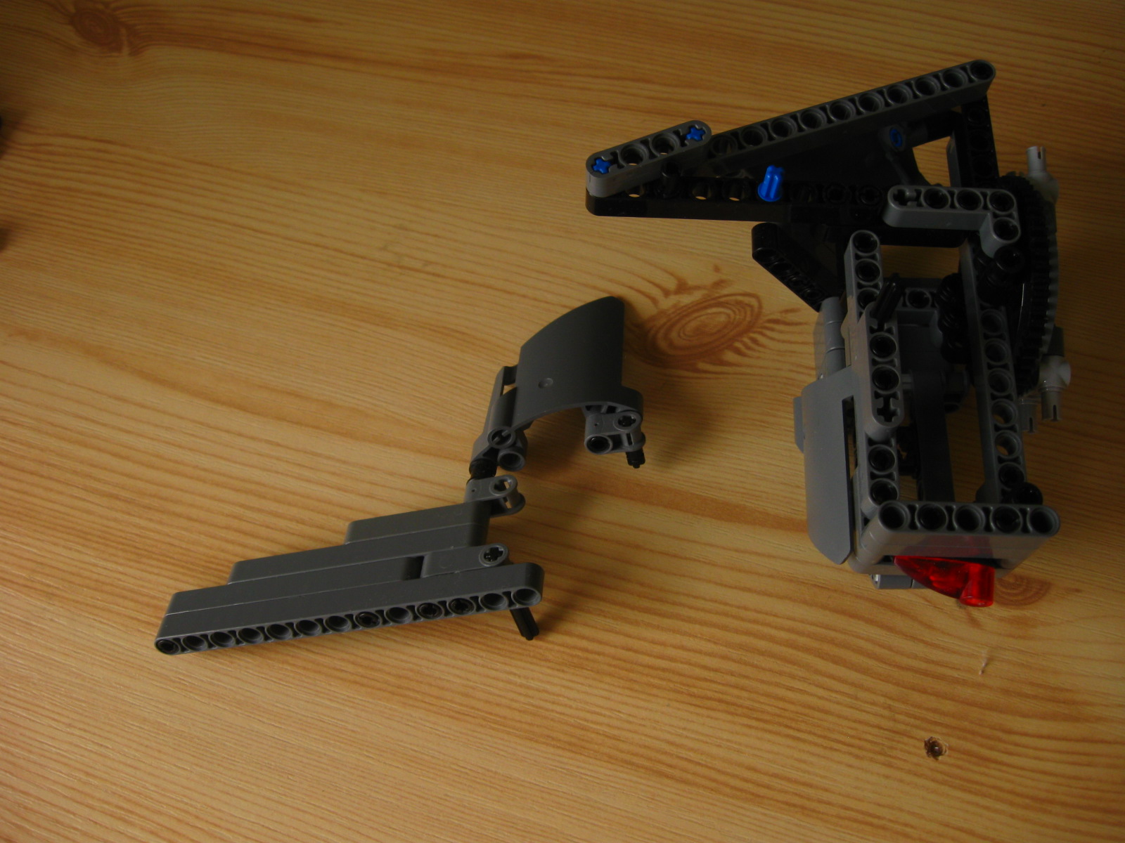 pelican174.jpg