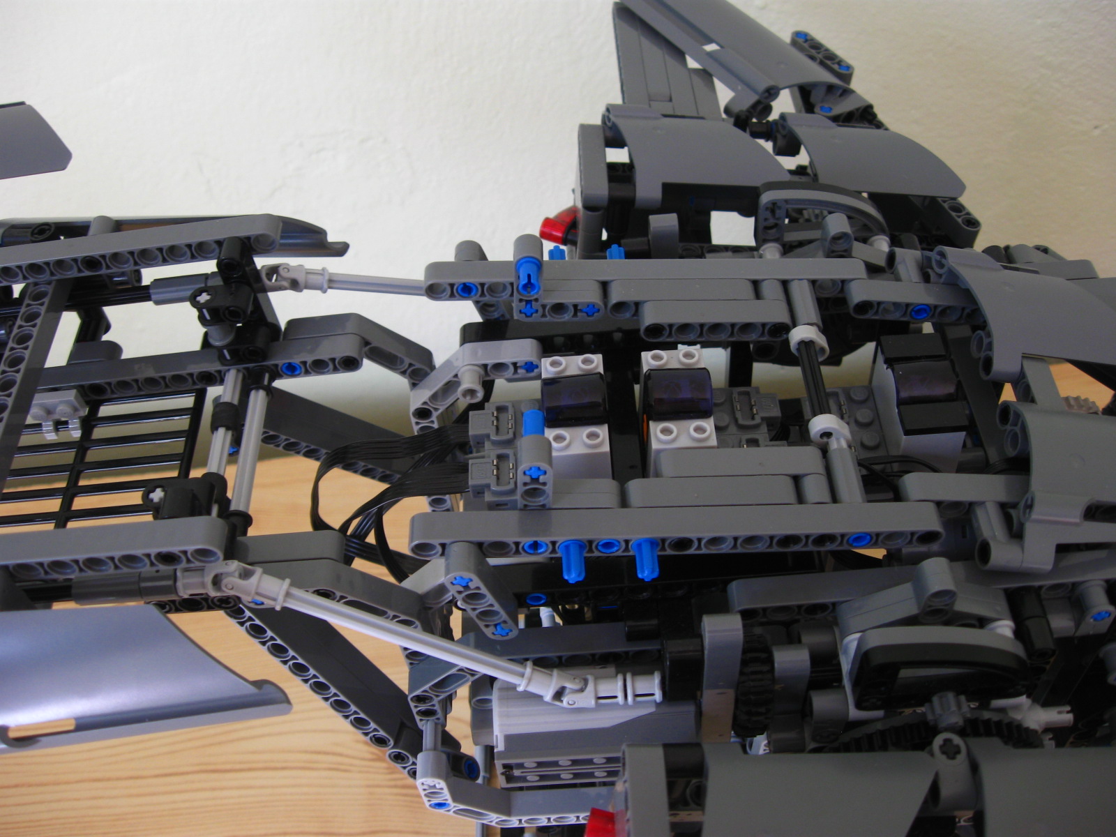 pelican269.jpg