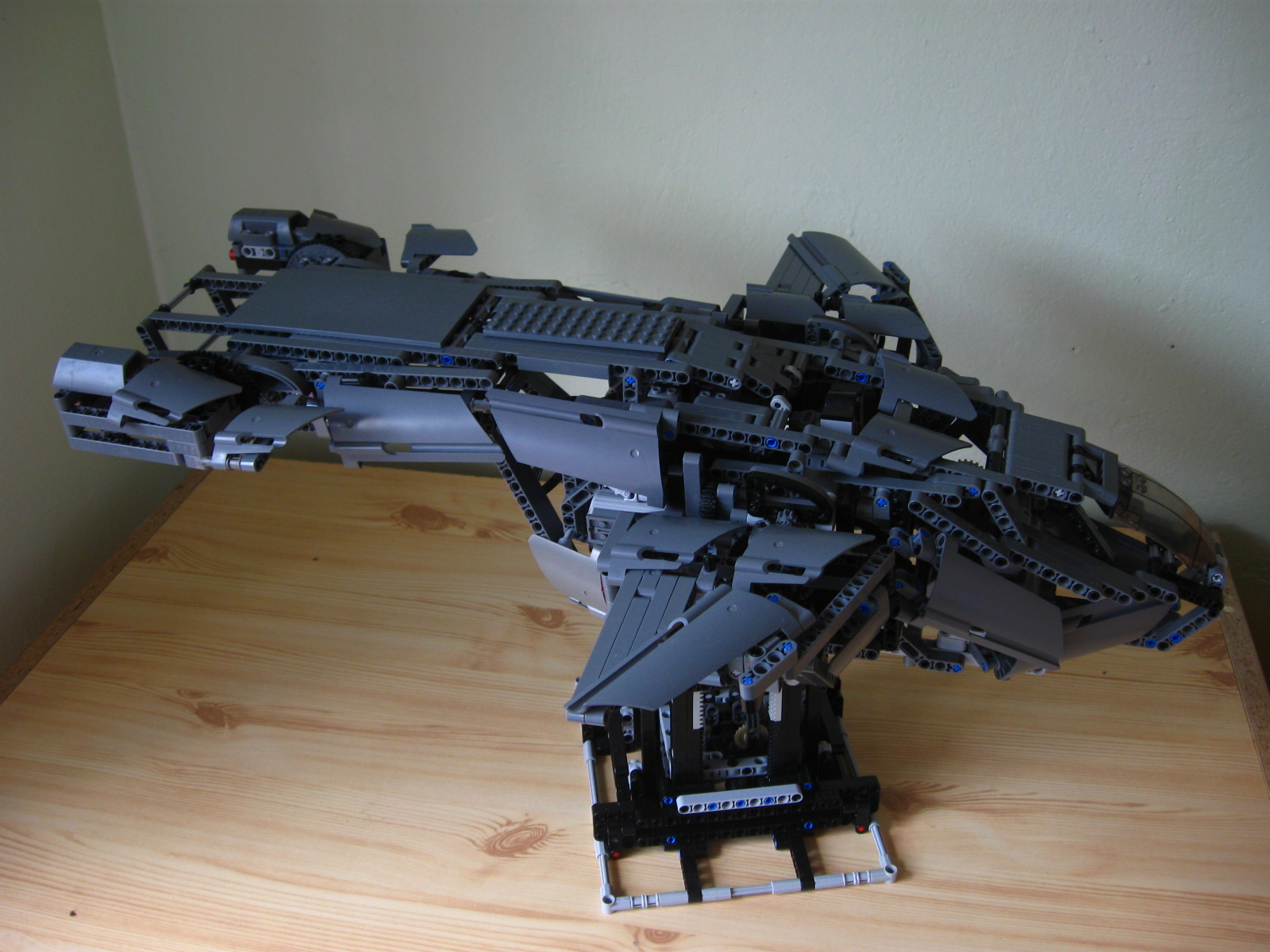 pelican295.jpg