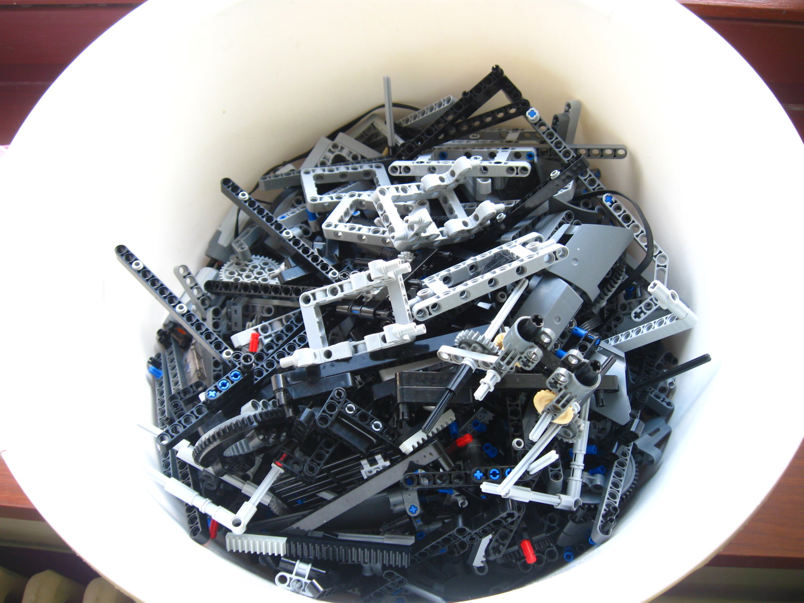 pelican296.jpg