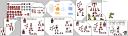 rz-kit.png