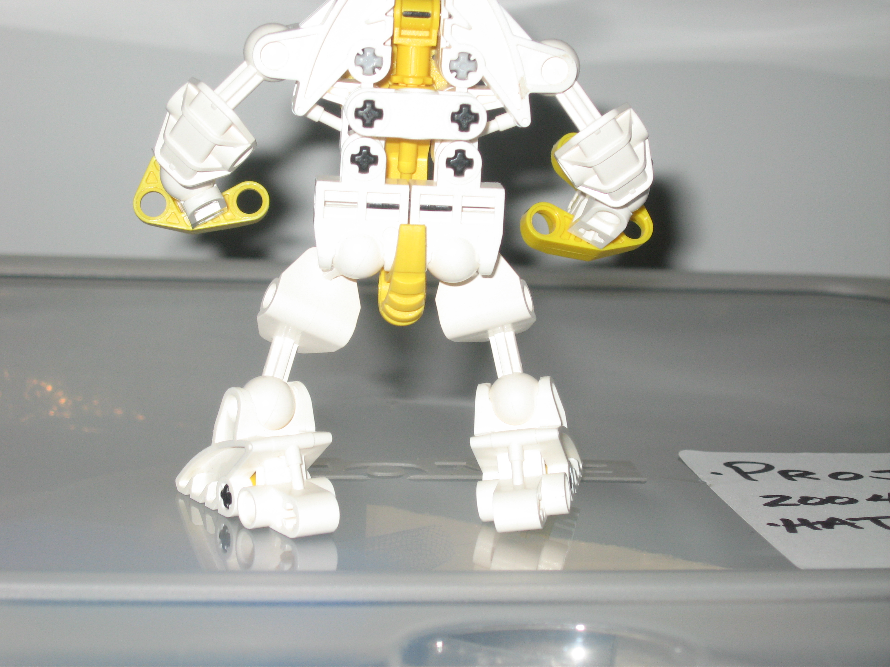 bionicle_pics_049.jpg
