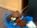 picture_632.jpg