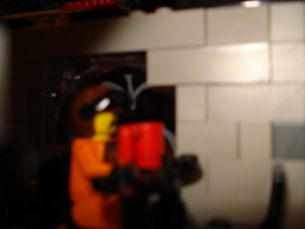 dsc00405.jpg