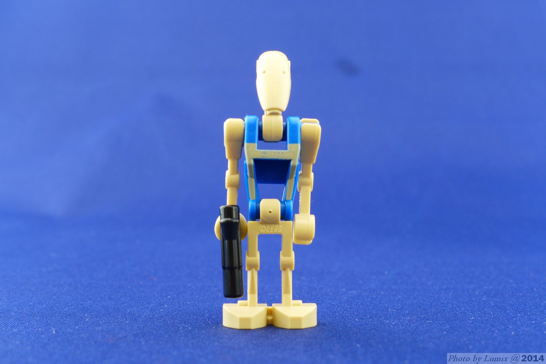 75029_21.jpg