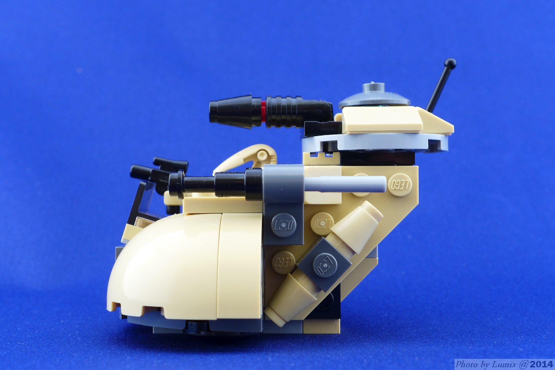 75029_25.jpg