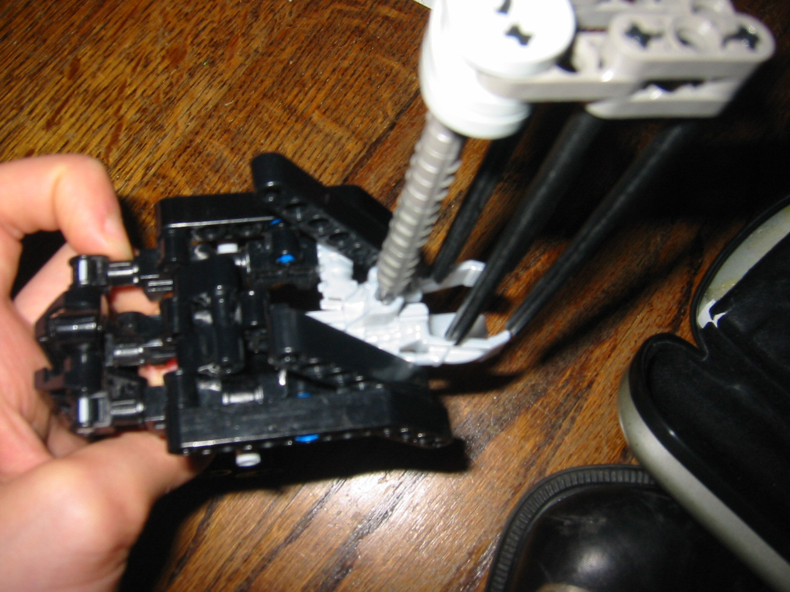 step55.jpg