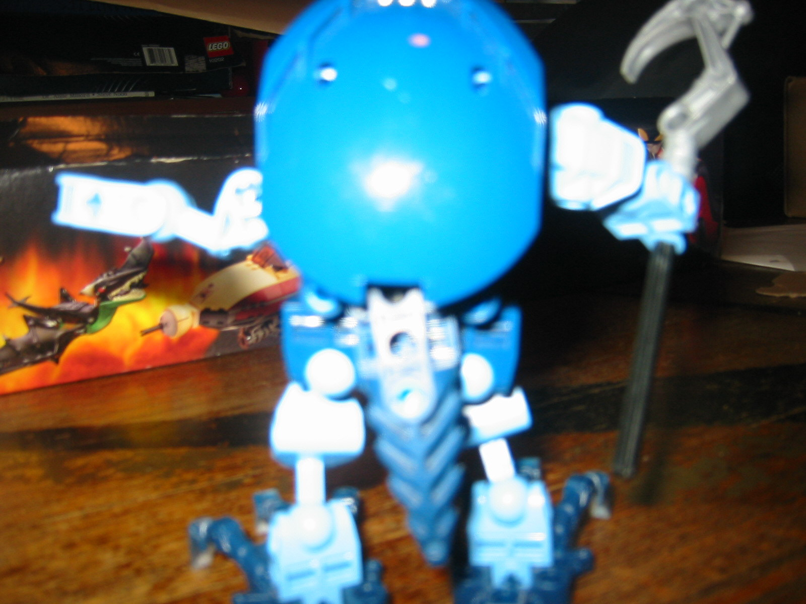 frogturtle3.jpg