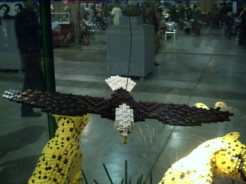 legofestival57.jpg