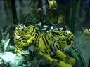 legofestival62.jpg
