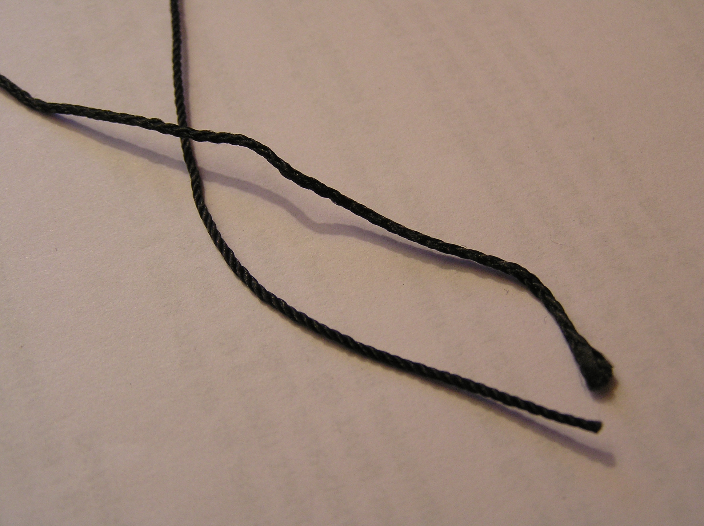 p2190256.jpg