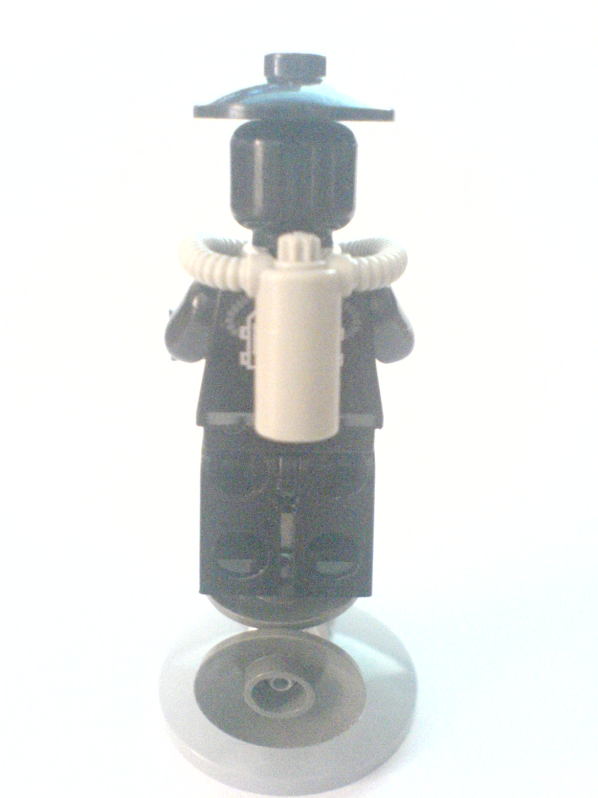 dsc03017.jpg
