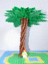 palmtree6.jpg