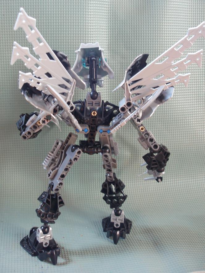claw_006.jpg