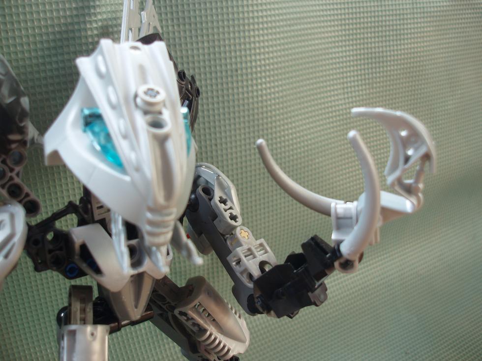 claw_009.jpg