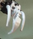claw_008.jpg