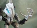 claw_009.jpg