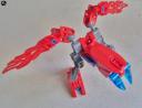 fire_chicken_003.jpg