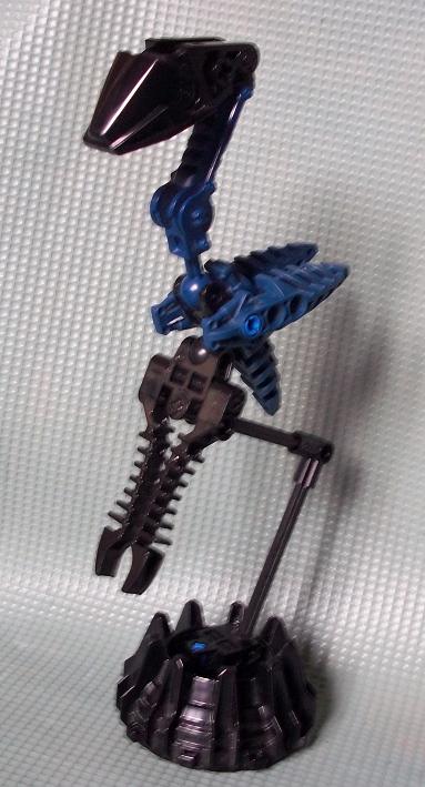 bird_0009.jpg