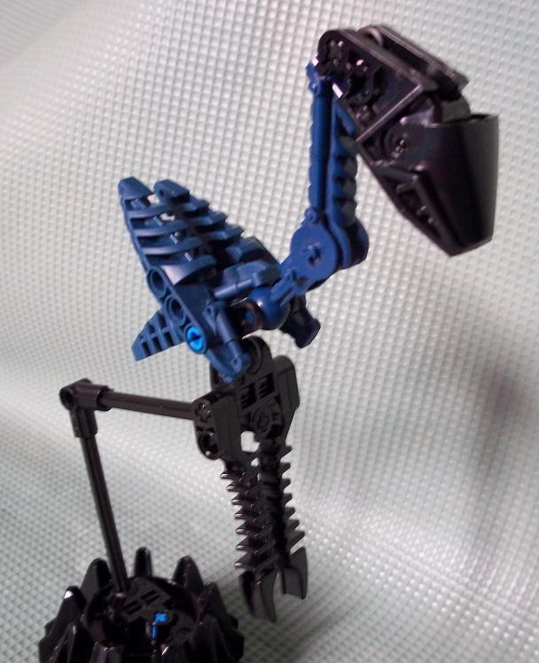 bird_0011.jpg