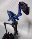 bird_0011.jpg