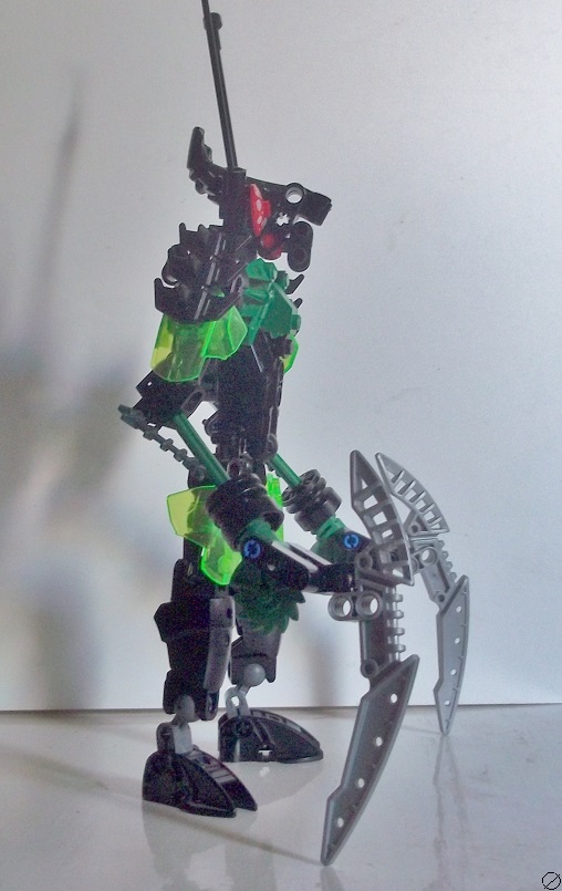 mantis_003.jpg