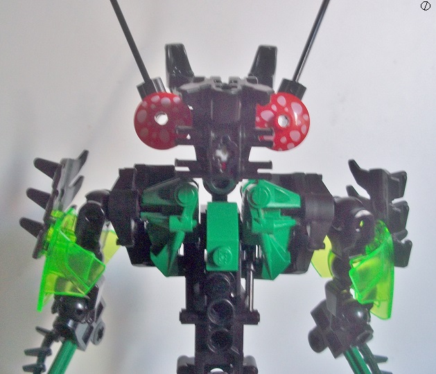 mantis_005.jpg