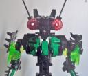 mantis_005.jpg