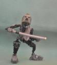 star_krakua.jpg