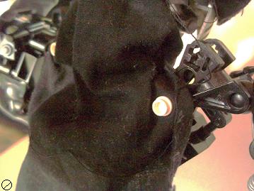 000_0012.jpg