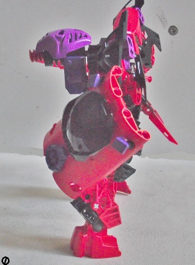 pf_003.jpg