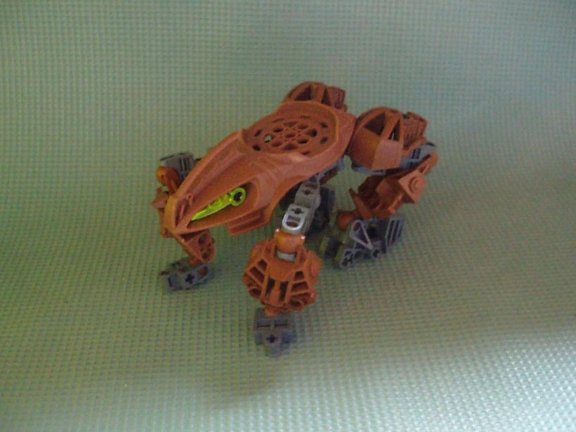 frog001.jpg