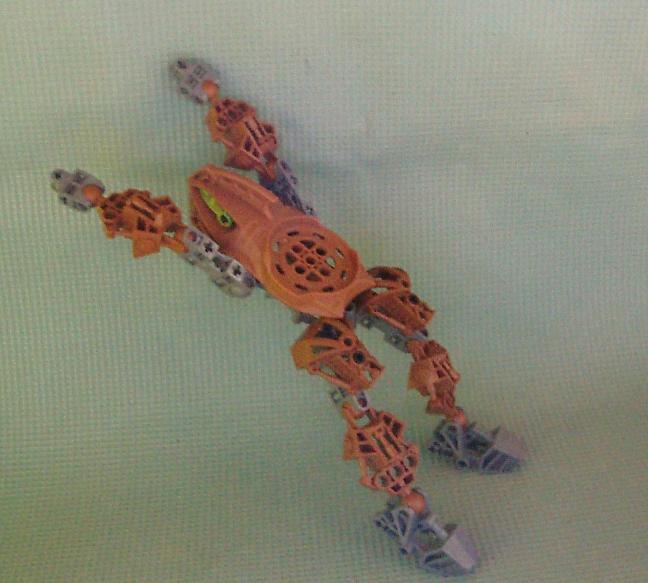 frog002.jpg