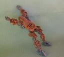 frog002.jpg