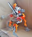 sentinel_002.jpg