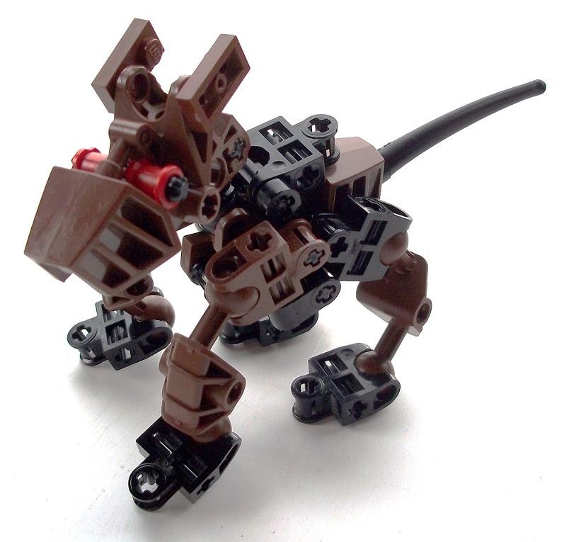 dog.jpg