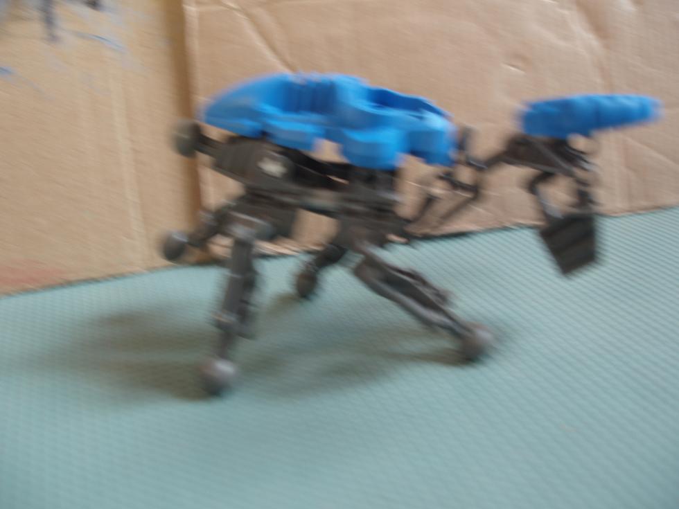speed5.jpg