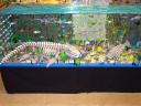 dsc01155.jpg