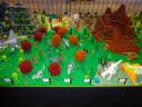 dsc01157.jpg