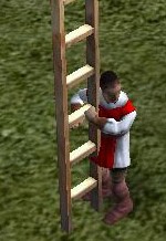ladderman.jpg