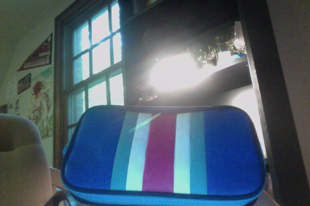 3ds_case.jpg